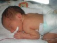 /album/fotos/pedrinho-maternidade-2009-5-jpg/